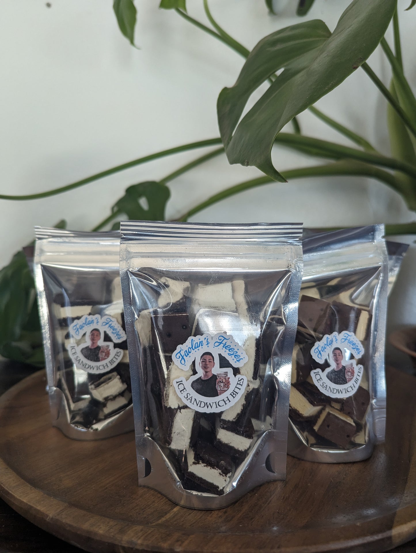 Faolan's Freezes Bite Size Freeze Dried Candies | Freeze Dried Candy | Freeze Dried Candy | Freeze Dried Gift Favors | Teacher's Gift