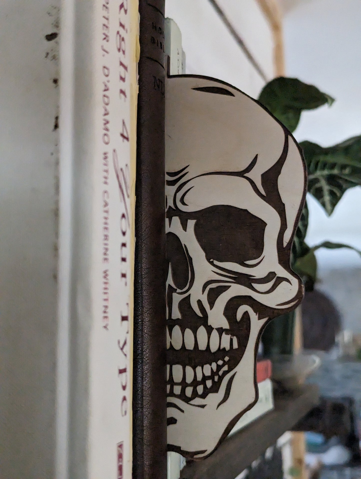 Skull Wood Shelf Silhouette | Skull Skeleton Shelf Silhouette  Bookshelf Sign | Bookish | Gift for Book Lover