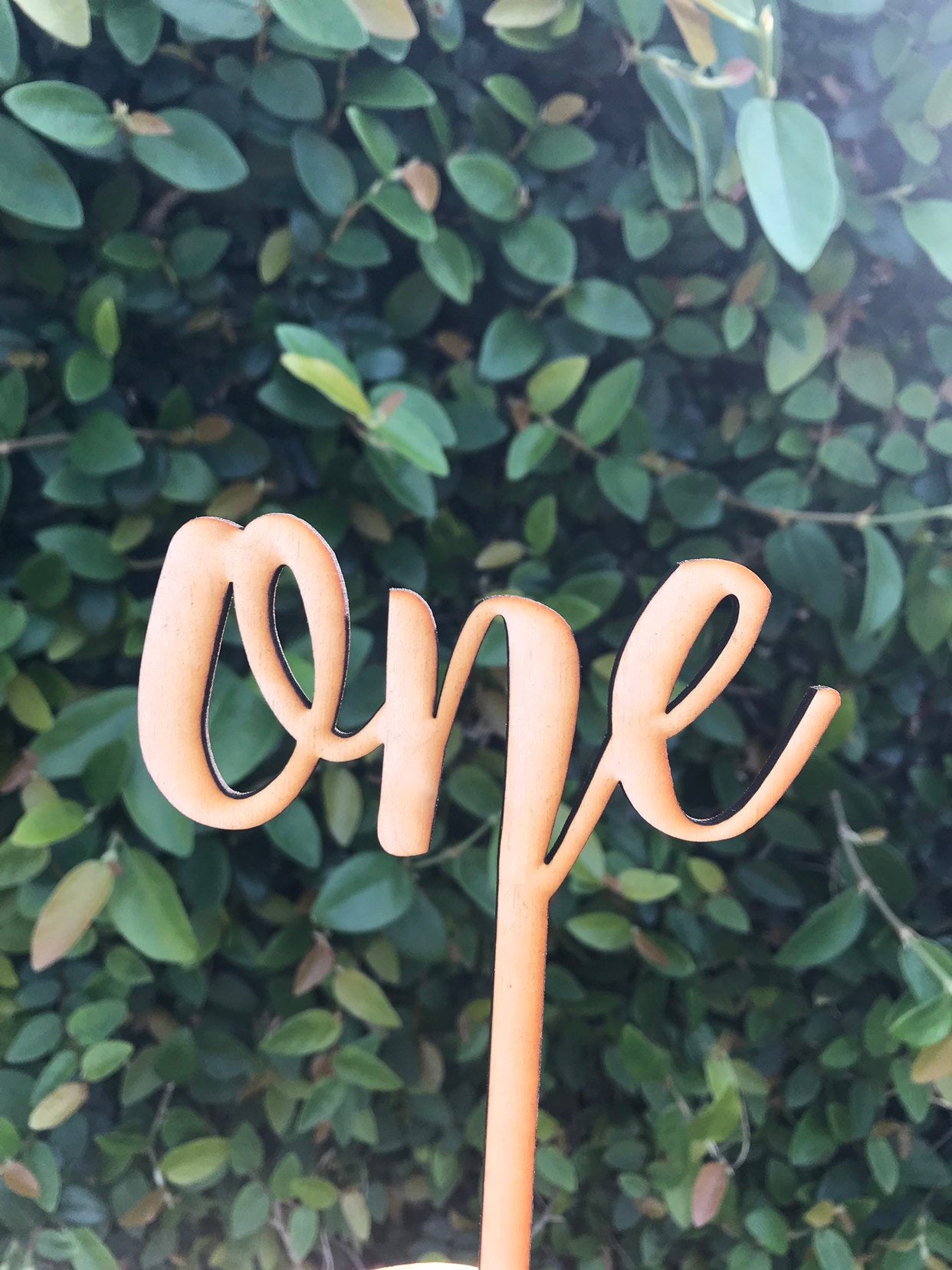 One Cake Topper