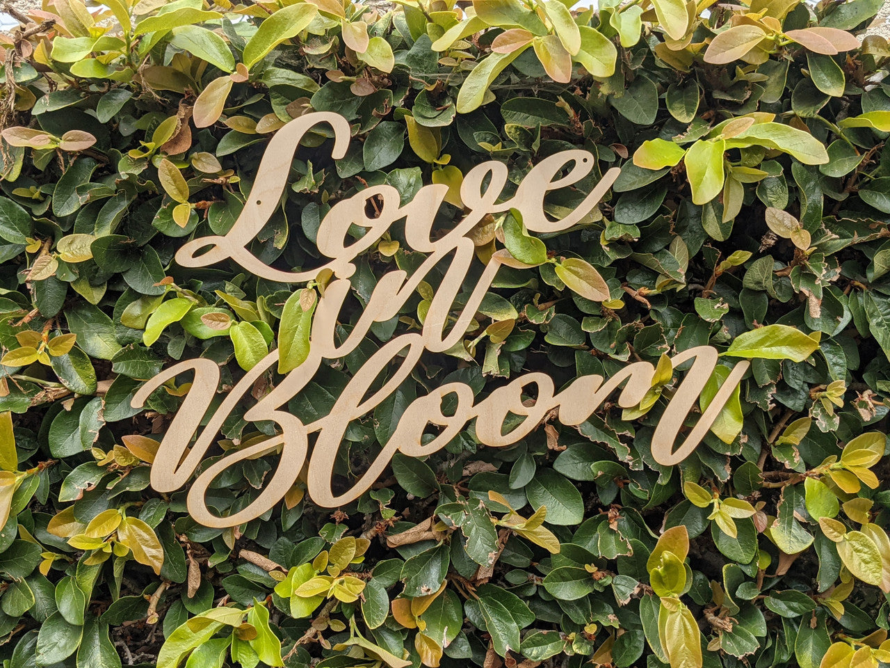 Cursive Wood Sign 'Love in Bloom'