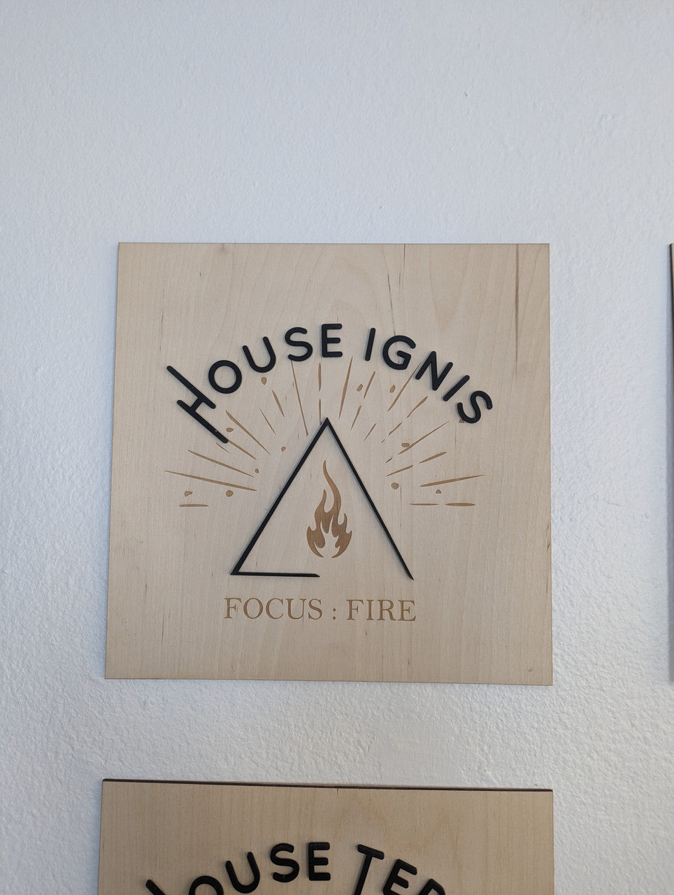 House Aer | House Terra | House Ignis | House Aqua | Zodiac Academy Merch | Vega Twins | Focus Air Fire Earth Water Element Sign