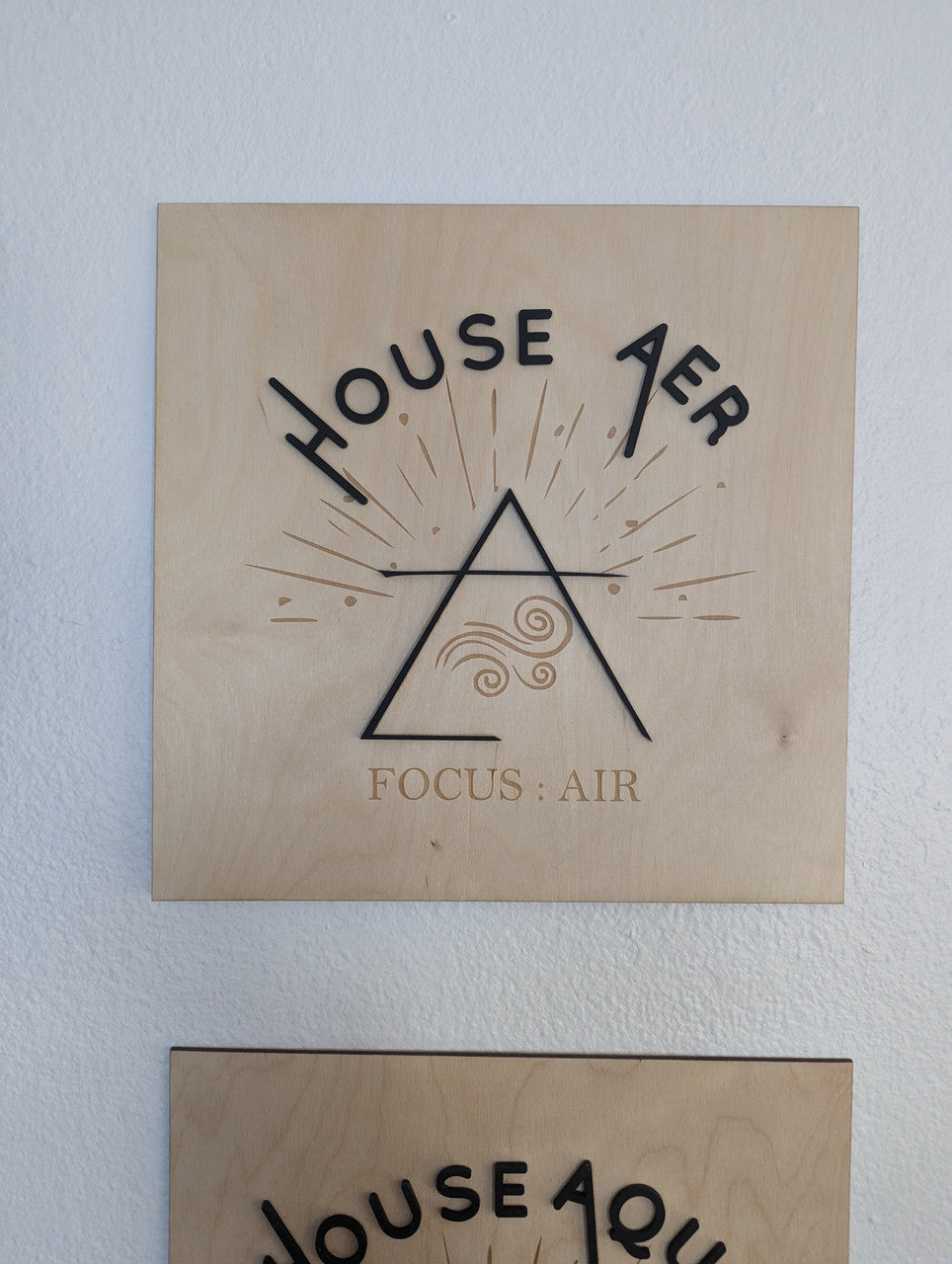 House Aer | House Terra | House Ignis | House Aqua | Zodiac Academy Merch | Vega Twins | Focus Air Fire Earth Water Element Sign