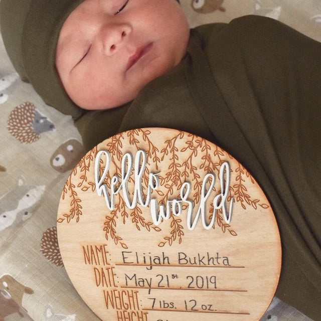 Hello World 3D Hospital Welcome Birth Announcement Details Wood Plaque Photo Prop Sign