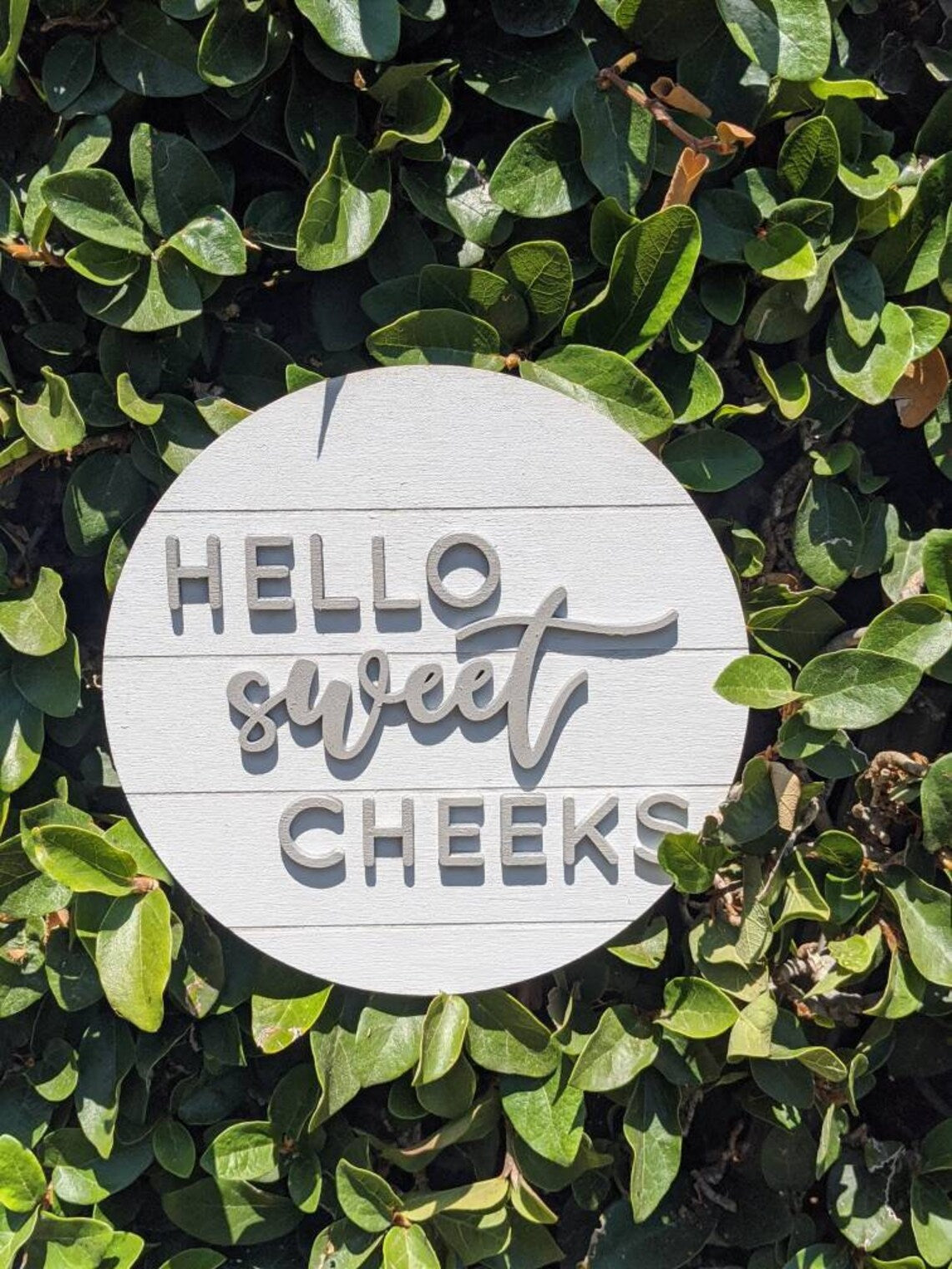 Hello Sweet Cheeks Faux Shiplap Farmhouse Sign