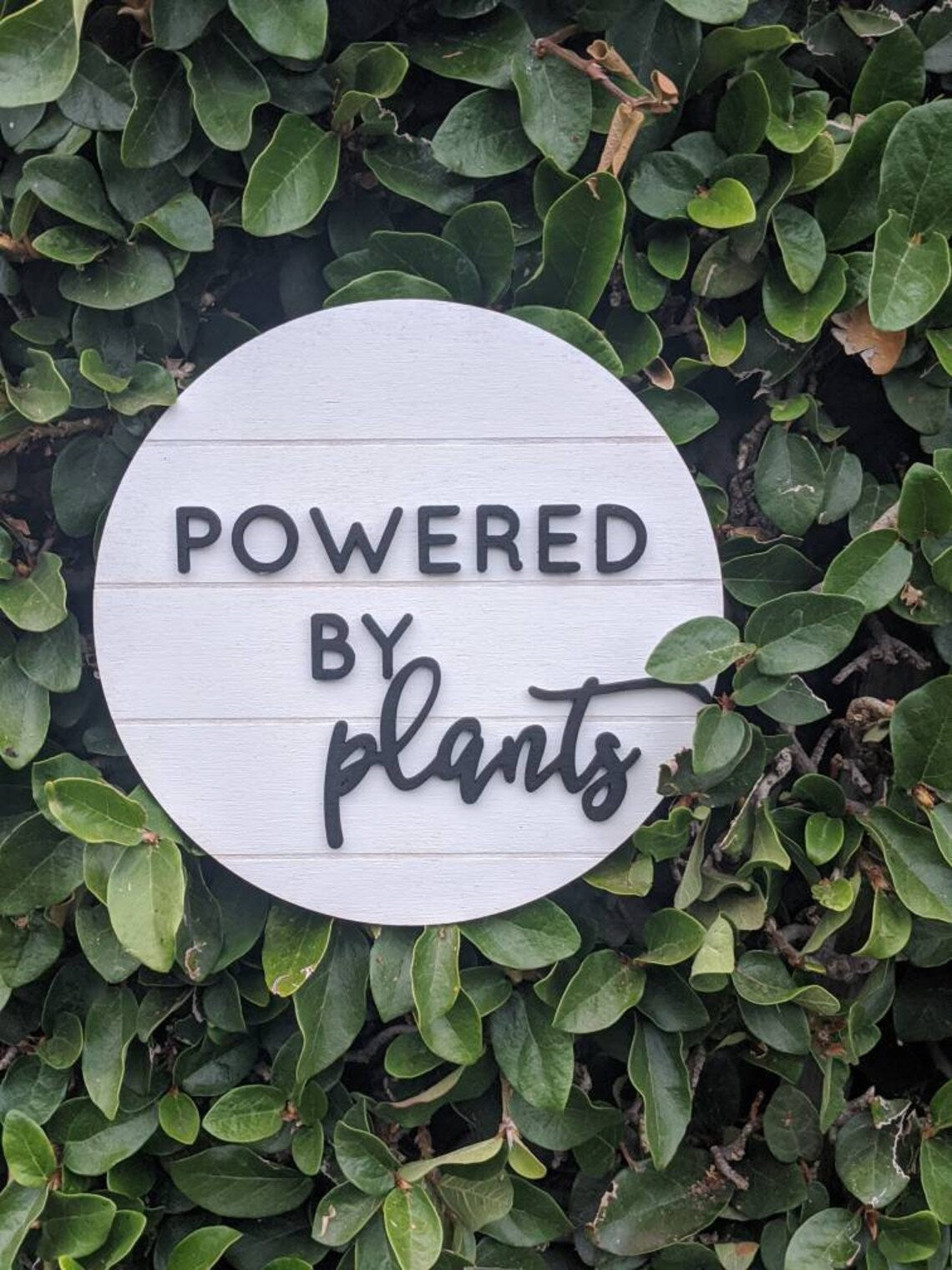 Powered by Plants Faux Shiplap Farmhouse Sign
