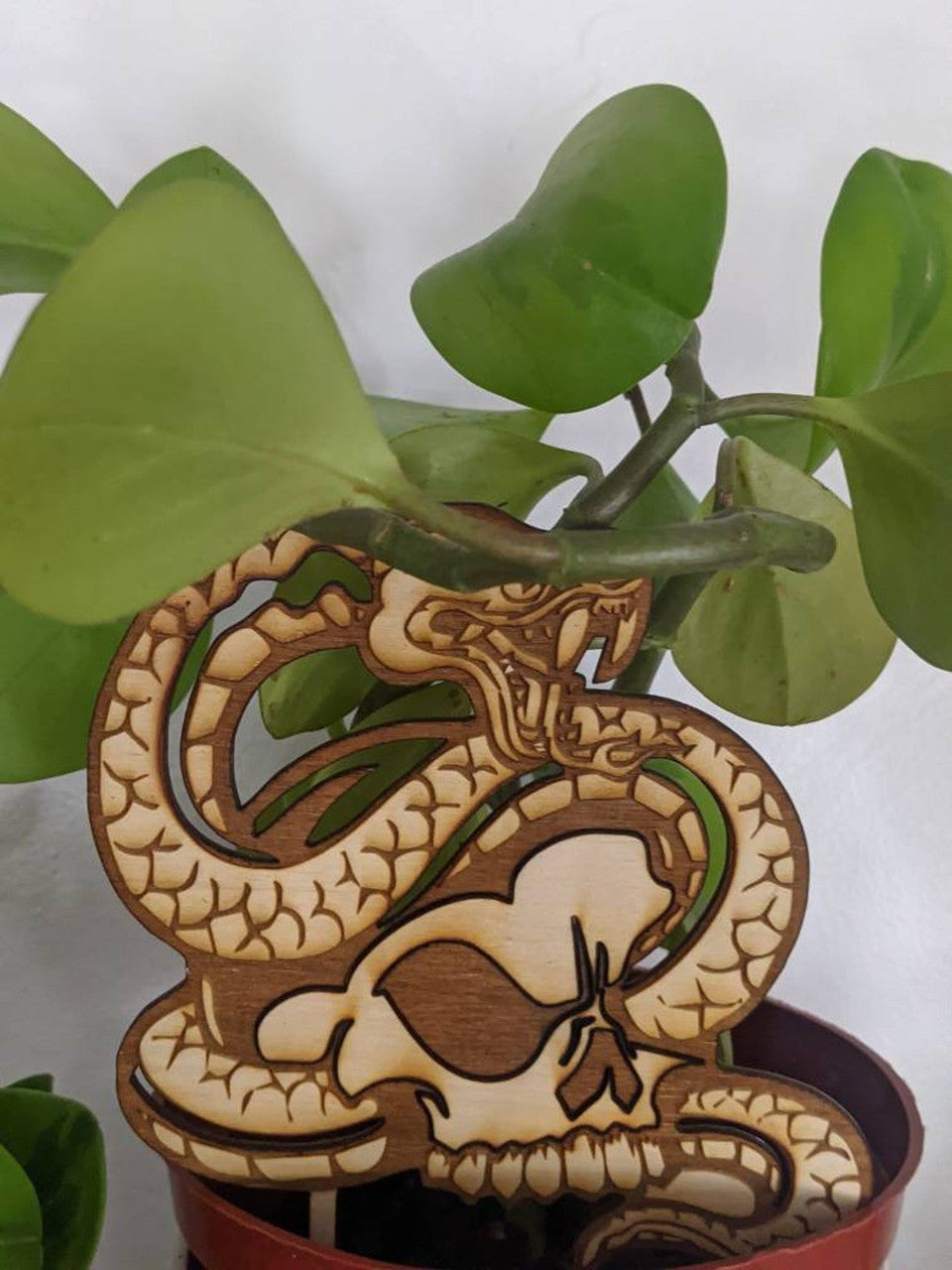 Indoor Plant Snake and Skull Trellis Plant Support