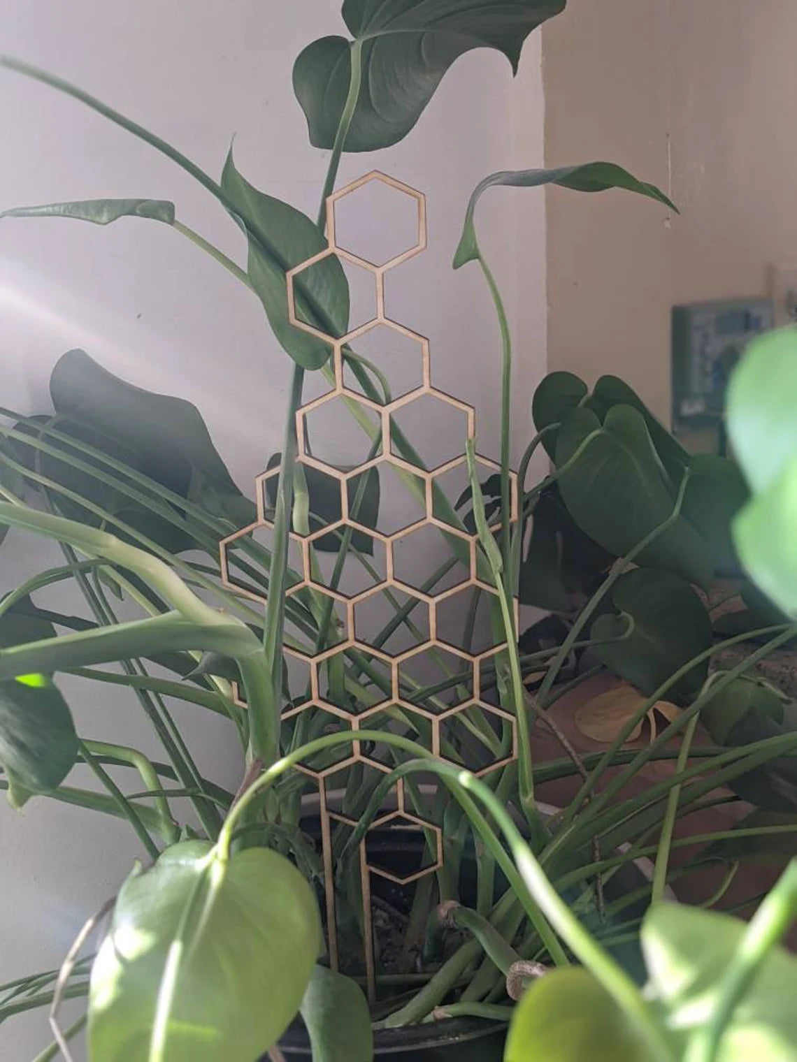Large METAL Honeycomb Trellis Indoor Plant Support | Honey Comb Plant Support | Shelf Plant Decoration Potted Plant Trellis