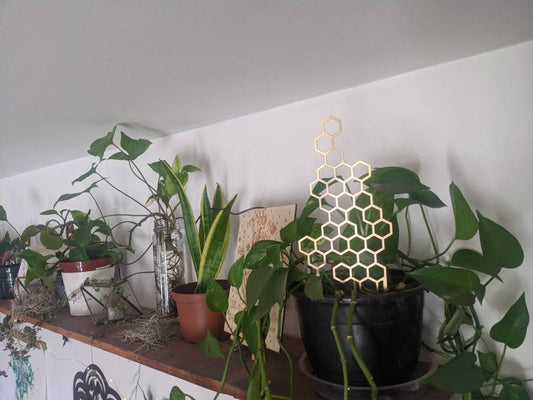 Small Metal Honeycomb Trellis Indoor Plant Support Art | Honey Comb Plant Support | Shelf Plant Decoration Small Potted Plant Trellis