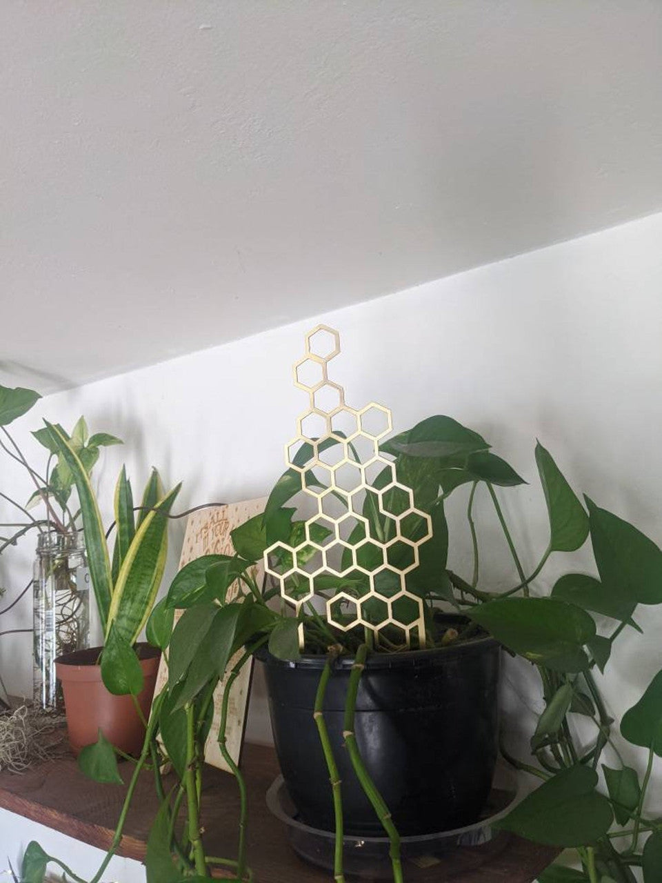 Small Metal Honeycomb Trellis Indoor Plant Support Art | Honey Comb Plant Support | Shelf Plant Decoration Small Potted Plant Trellis
