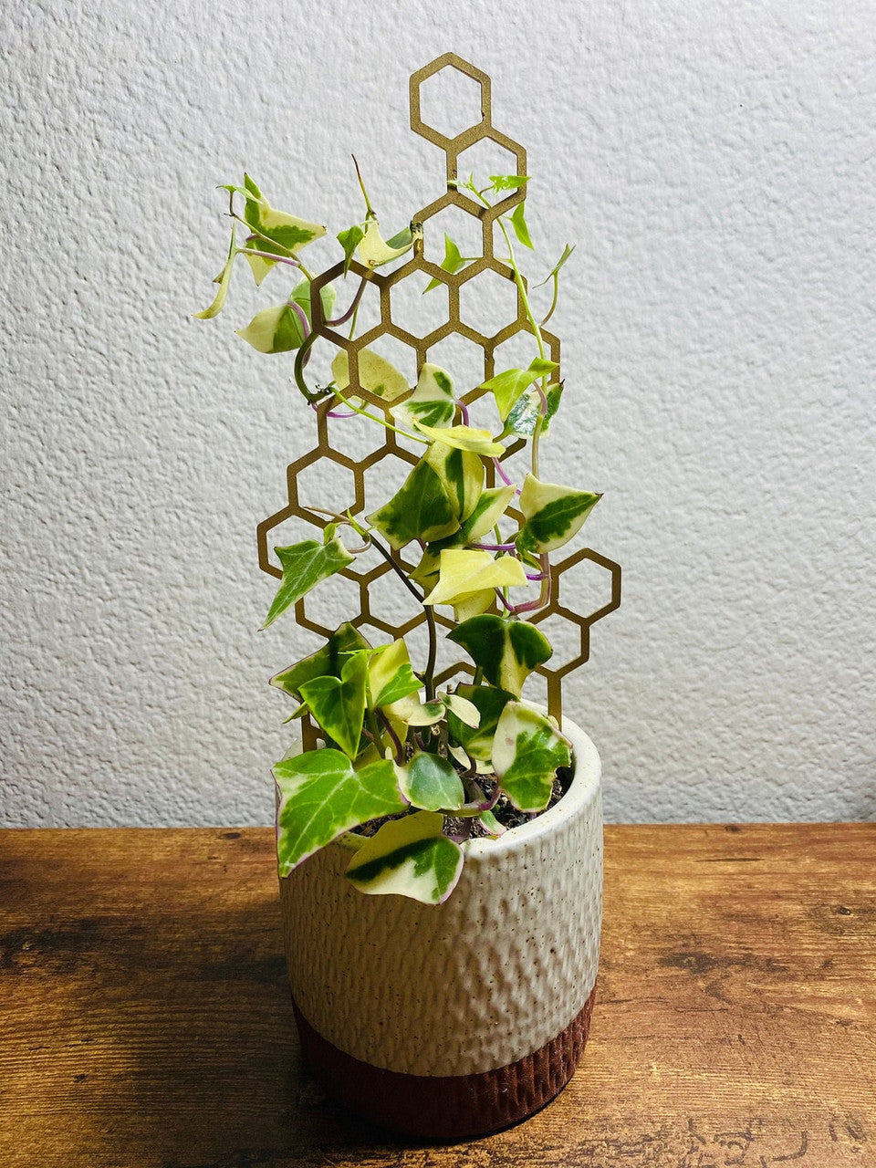 Small Metal Honeycomb Trellis Indoor Plant Support Art | Honey Comb Plant Support | Shelf Plant Decoration Small Potted Plant Trellis